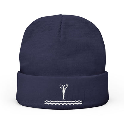 Wind Waker Zelda Lobster Embroidered Beanie